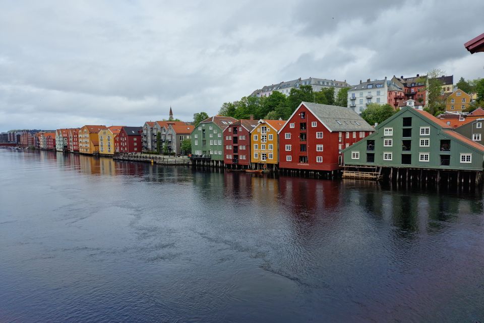 Ei rundkøyring fylt med fargerike blomar og grøne buskar.
