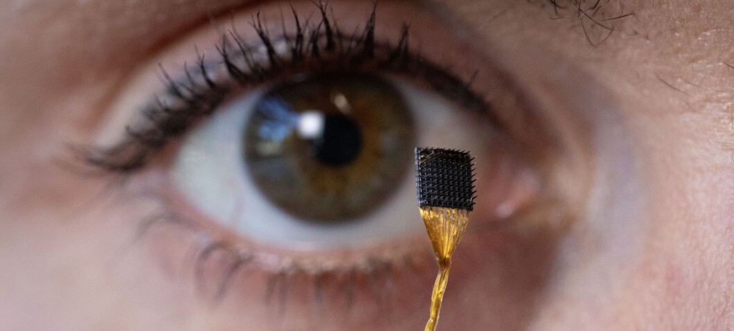 Hjerneimplantat fanga upp ord frå folk sin indre røysti