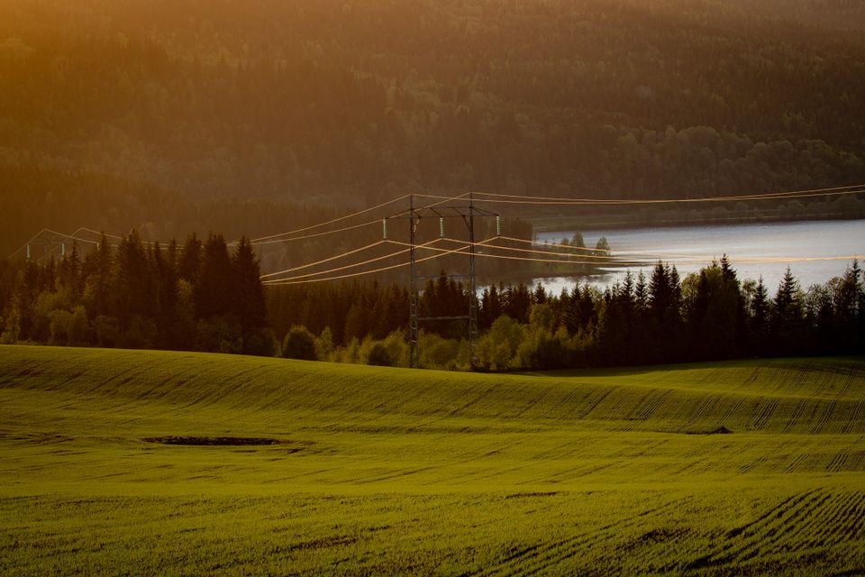 Dyrt med kjernekraft i stikkontakten.